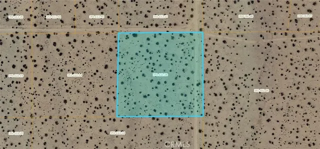 a bathroom with a toilet and a shower curtain