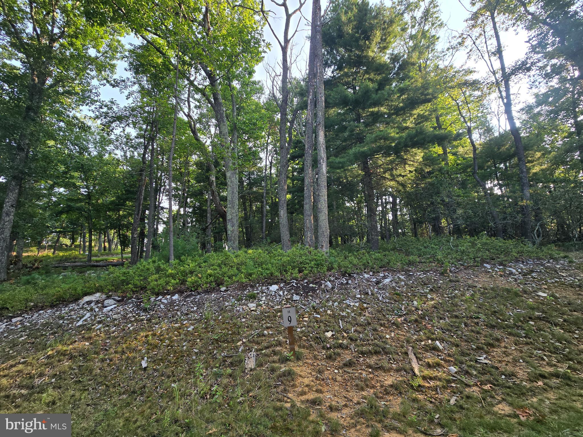 Lot # Highland Ridge Franklin, WV 26807 - Photo 4 of 19 Gallery Image 4