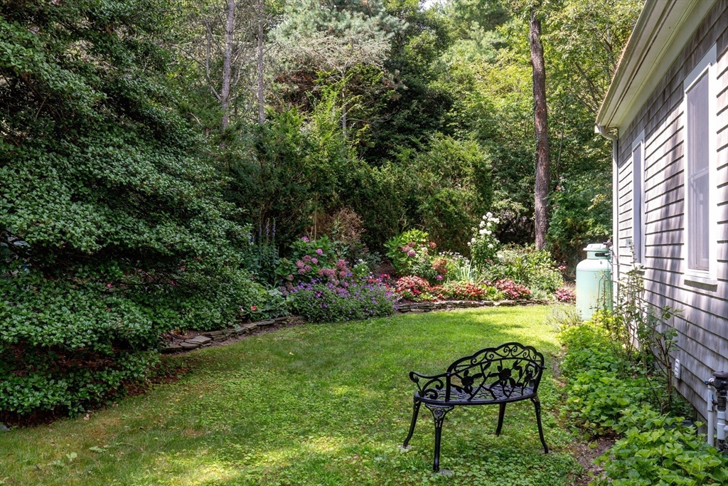 50 Pheasant Way Barnstable, MA 02632 - Photo 6 of 37 a yard with some trees in front of it