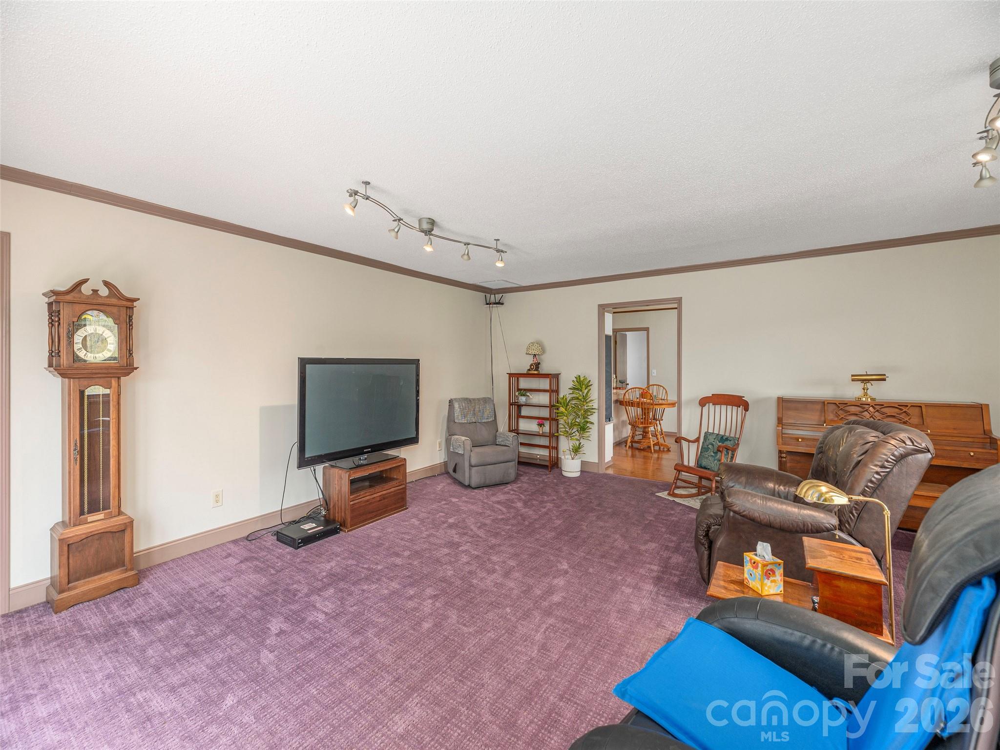 444 Martin Branch Road Leicester, NC 28748 - Photo 13 of 40