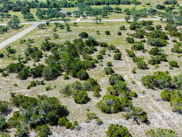a view of a large yard with lots of trees