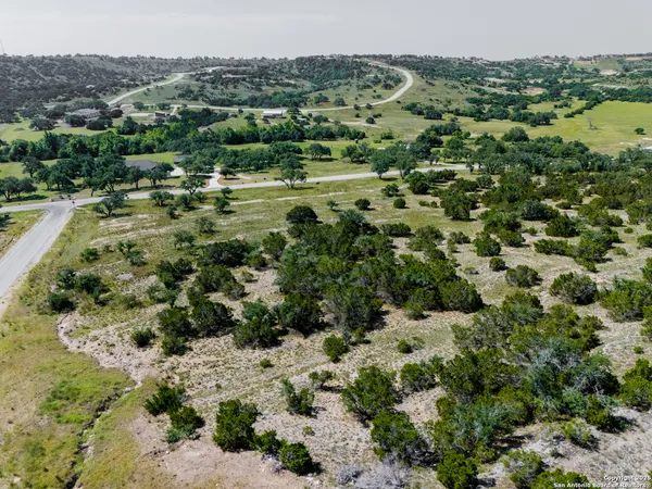a view of a forest with a street