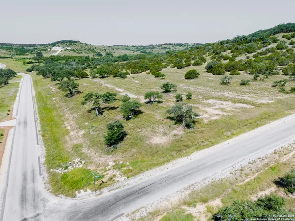 a view of a garden with a lot of trees and flowers