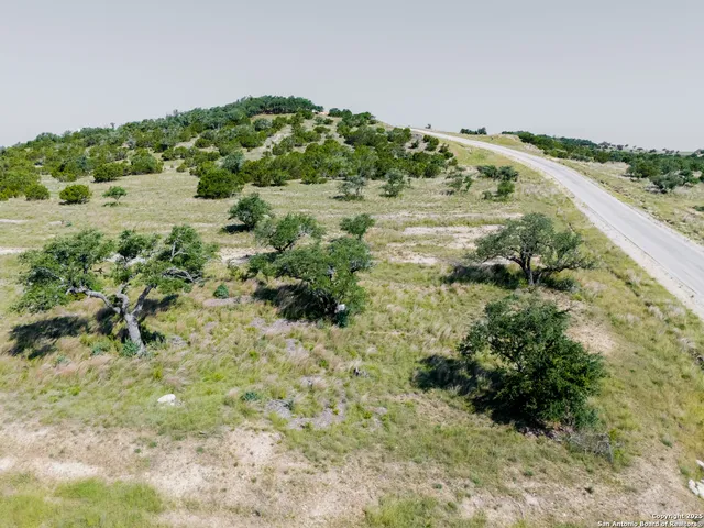 a view of a green field with lots of plants in it