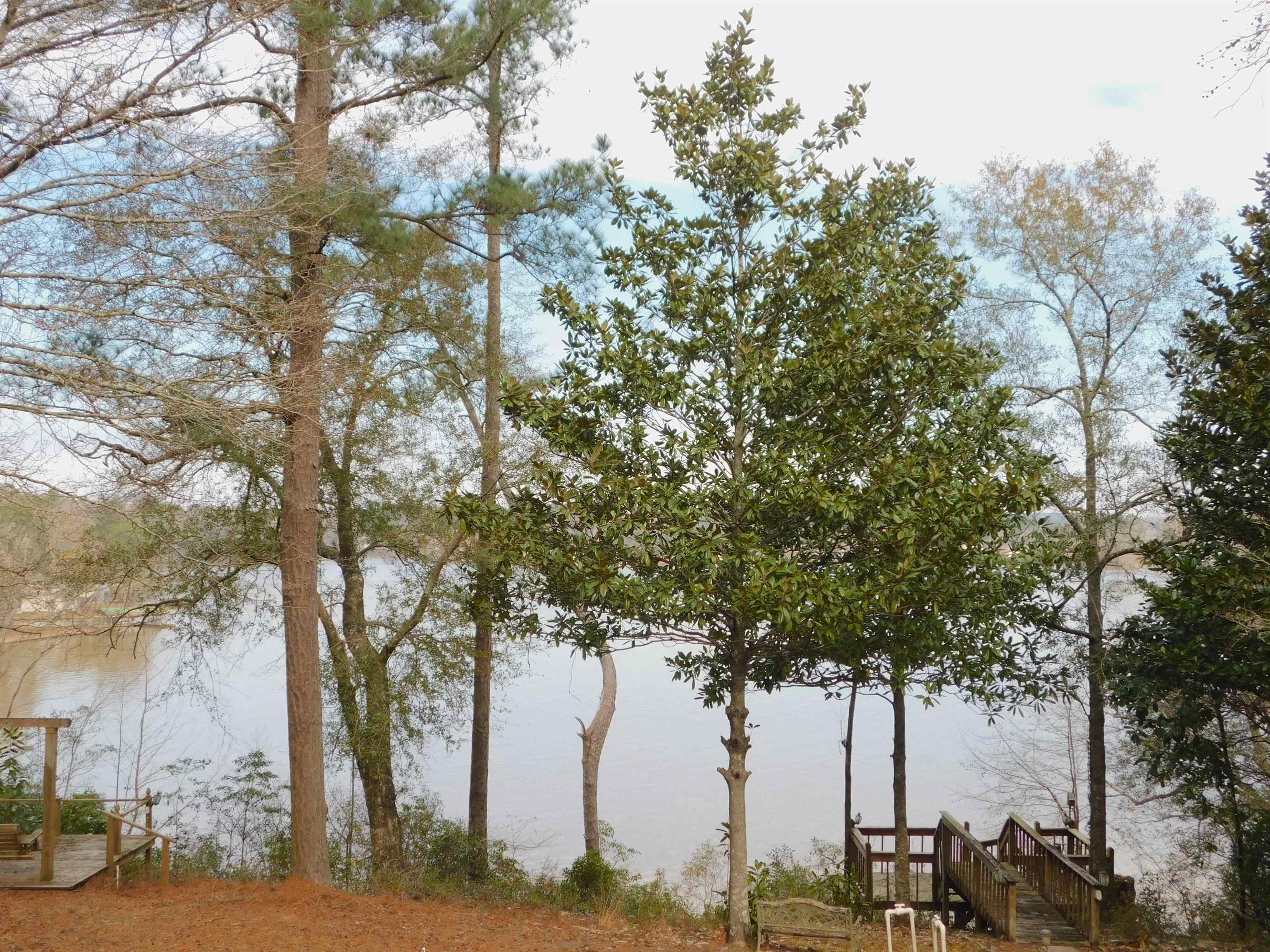 30153 Sandy Landing Road Andalusia, AL 36421 - Photo 25 of 36 Gallery Image 25