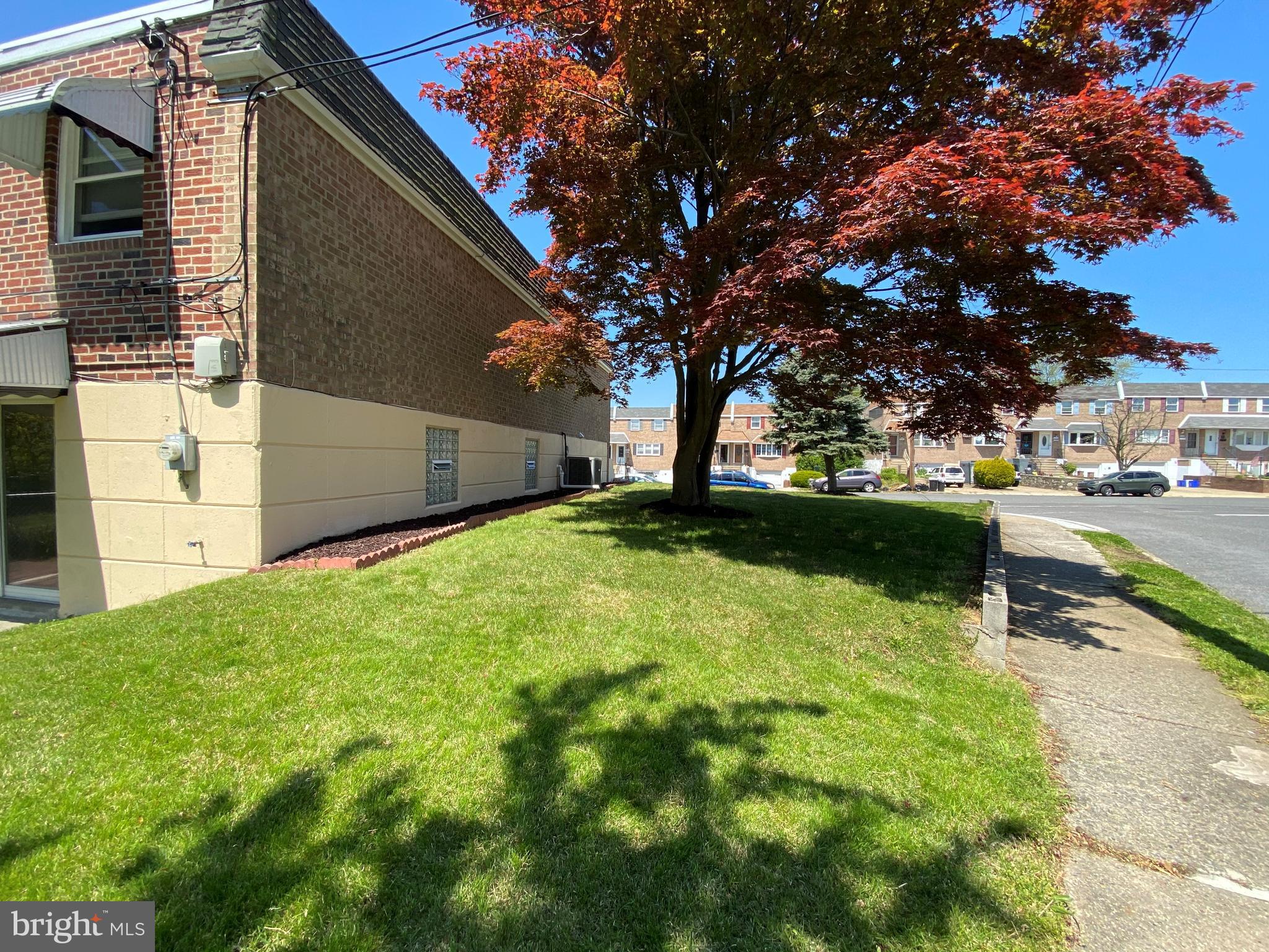 10221 West Keswick Road Philadelphia, PA 19114 - Photo 22 of 33 Beautiful Japanese Maple Tree, Sidewalks