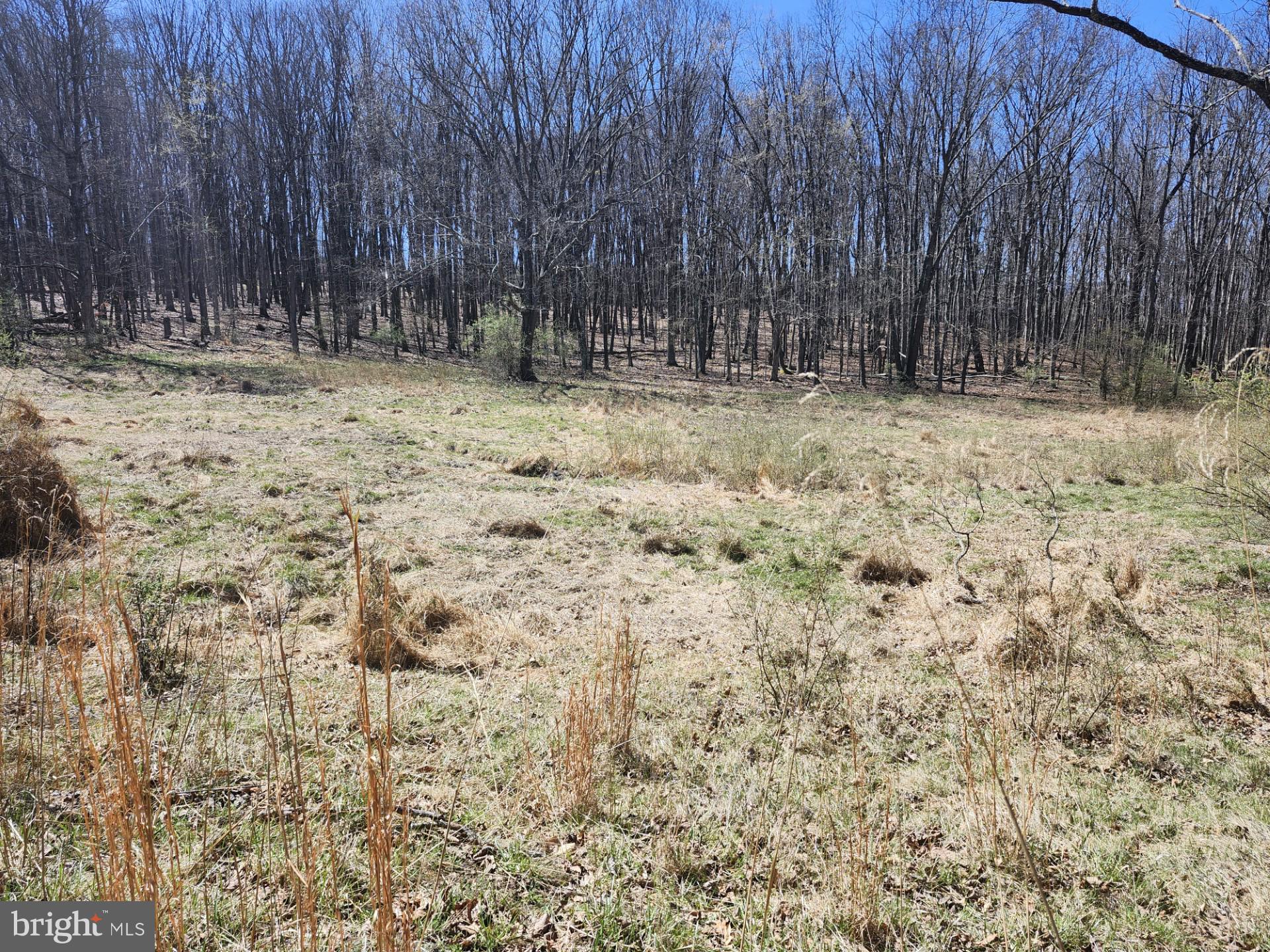 A J Kelley Road Old Fields, WV 26845 - Photo 23 of 65