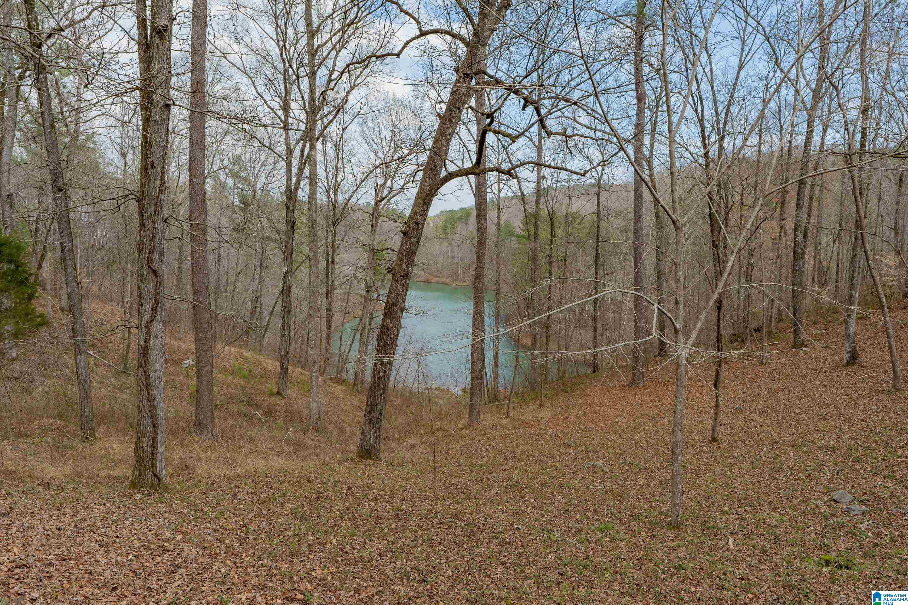 315 Ridge Drive Hayden, AL 35079 - Photo 39 of 44