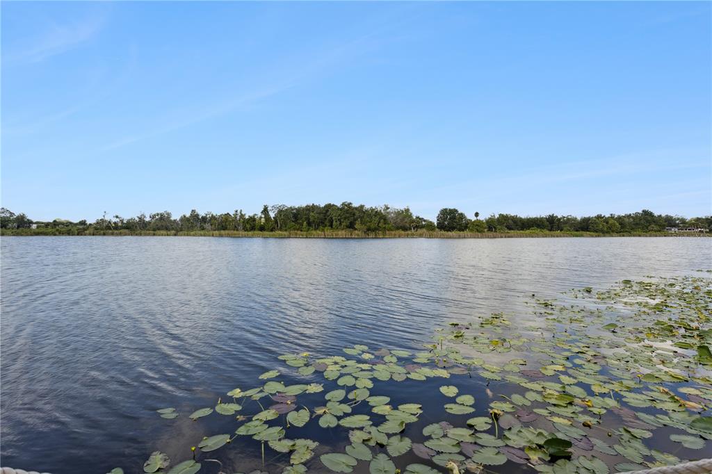 112 Turtle Run Umatilla, FL 32784 - Photo 27 of 32 a view of a lake with houses in the back
