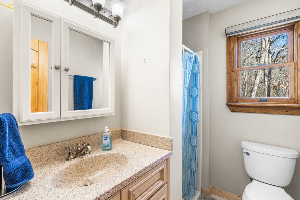 224 Shake Rag Road Hiawassee, GA 30546 - Photo 23 of 47 a bathroom with a granite countertop sink and a mirror