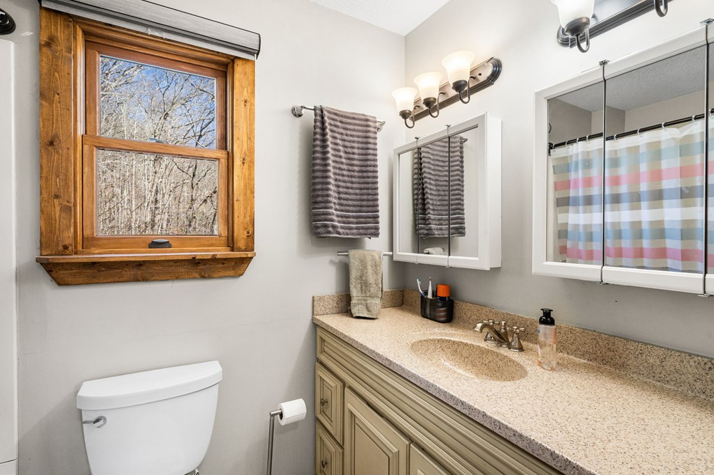 224 Shake Rag Road Hiawassee, GA 30546 - Photo 24 of 47 a bathroom with a granite countertop sink mirror vanity and a toilet