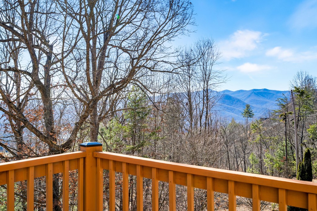 224 Shake Rag Road Hiawassee, GA 30546 - Photo 36 of 47 a view of trees and trees in the background
