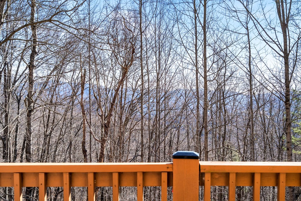 224 Shake Rag Road Hiawassee, GA 30546 - Photo 37 of 47 a view of a large trees