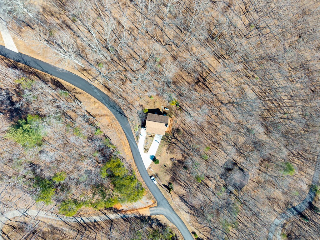 224 Shake Rag Road Hiawassee, GA 30546 - Photo 6 of 47 a view of a yard with a trees