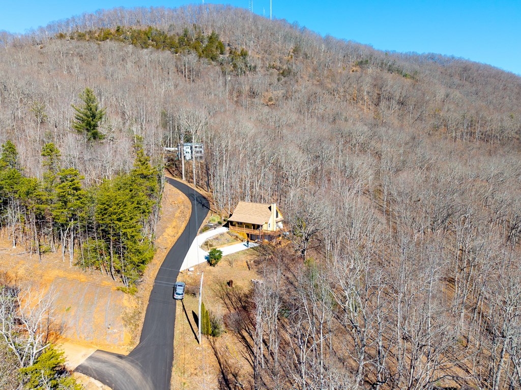 224 Shake Rag Road Hiawassee, GA 30546 - Photo 9 of 47 a view of a backyard