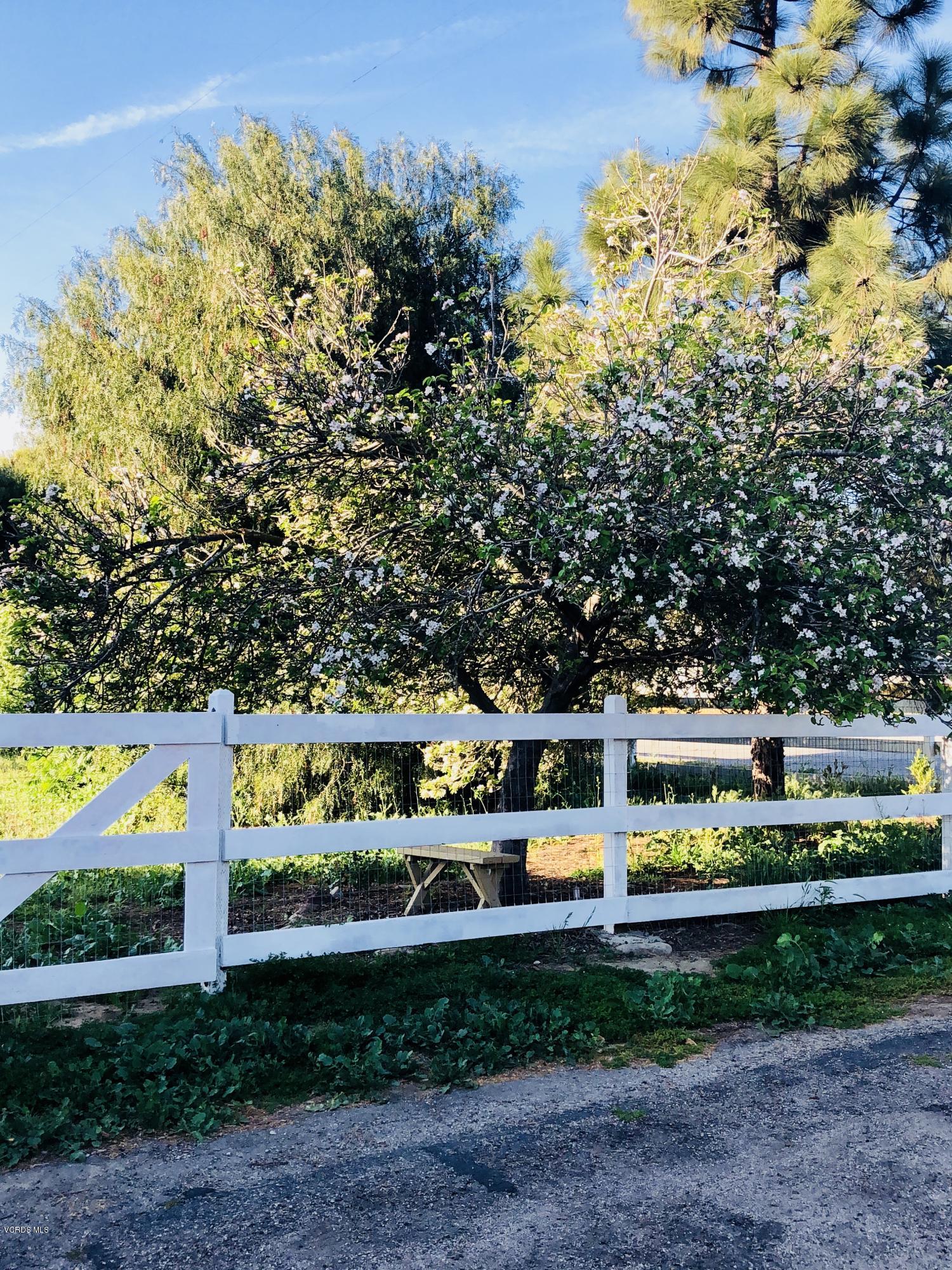 4087 Sand Canyon Road Somis, CA 93066 - Photo 14 of 16 IMG_8567