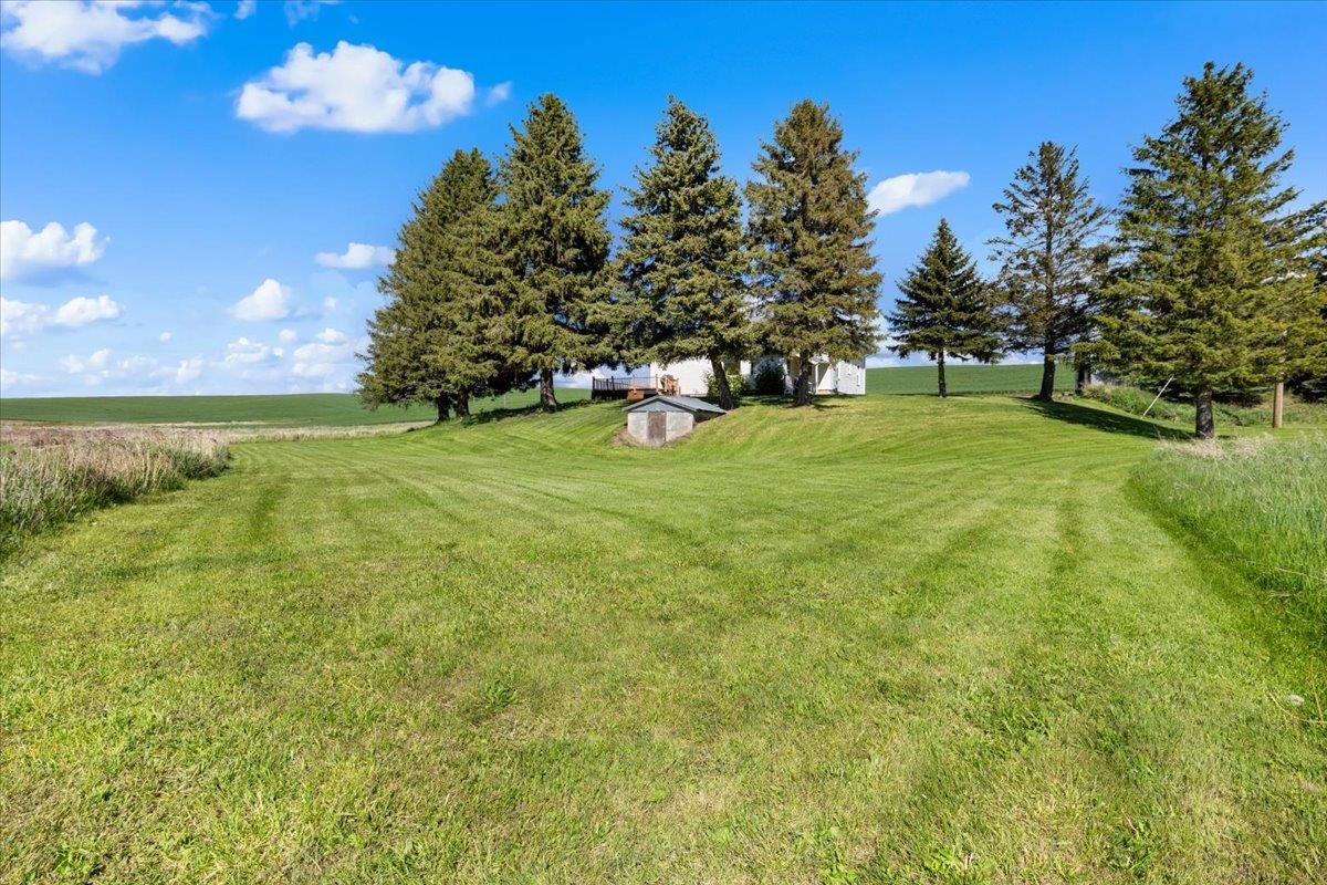 1001 Auvil Road Farmington, WA 99128 - Photo 43 of 50