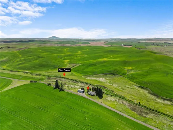 $495,000 | 1001 Auvil Road, Farmington, WA 99128