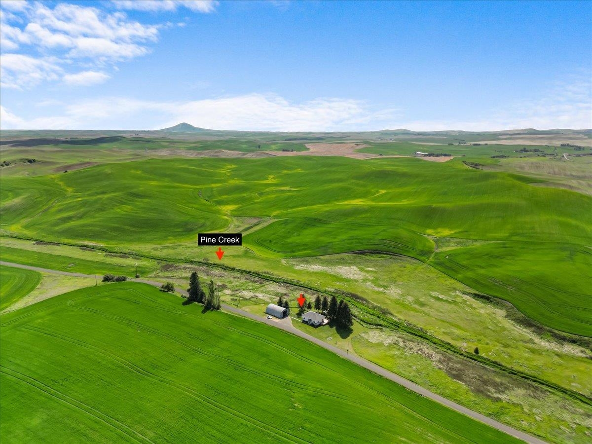 1001 Auvil Road Farmington, WA 99128 - Photo 50 of 50