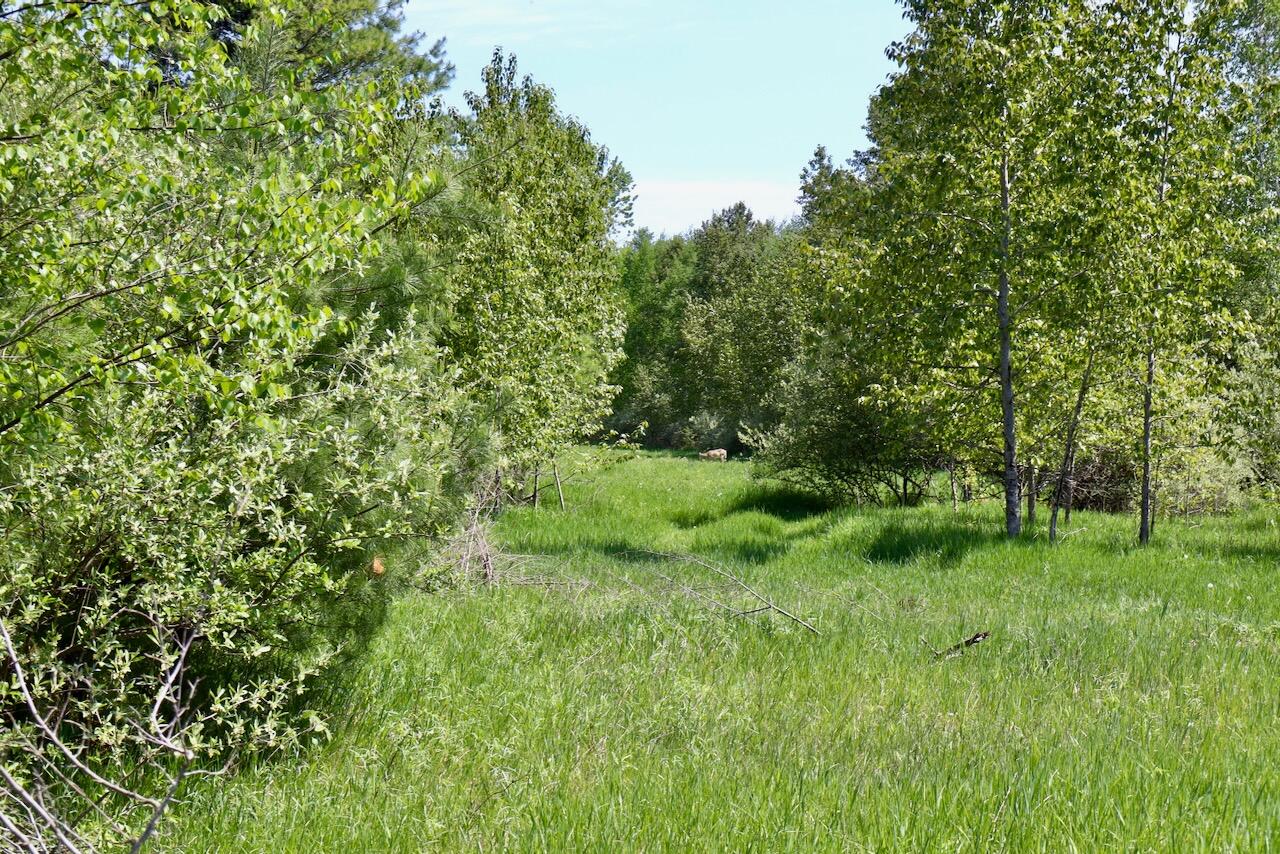 0 East Highwood Road Beaverton, MI 48612 - Photo 53 of 67 IMG_2531