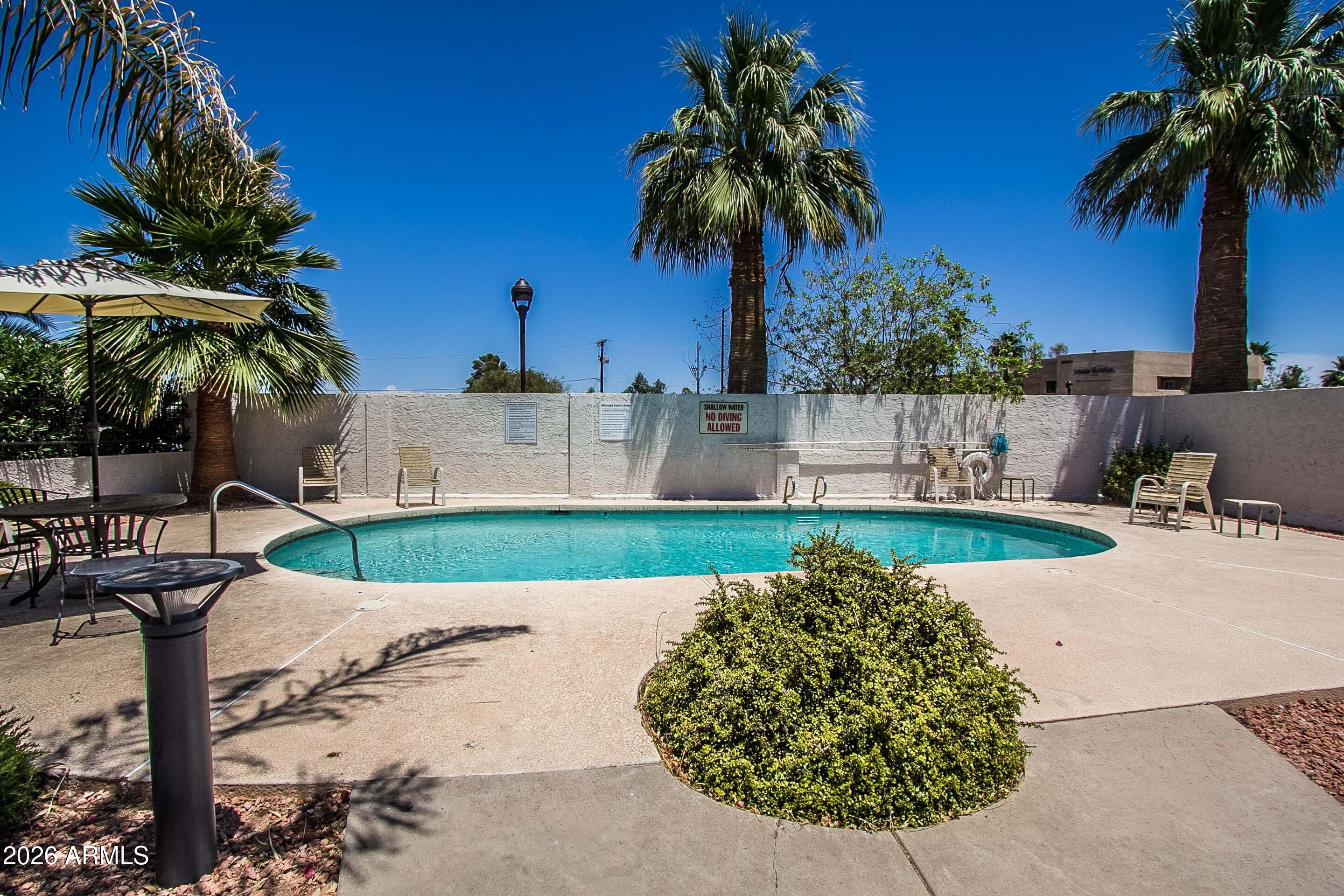 7755 East Thomas Road, Unit 18 Scottsdale, AZ 85251 - Photo 23 of 26 Community pool