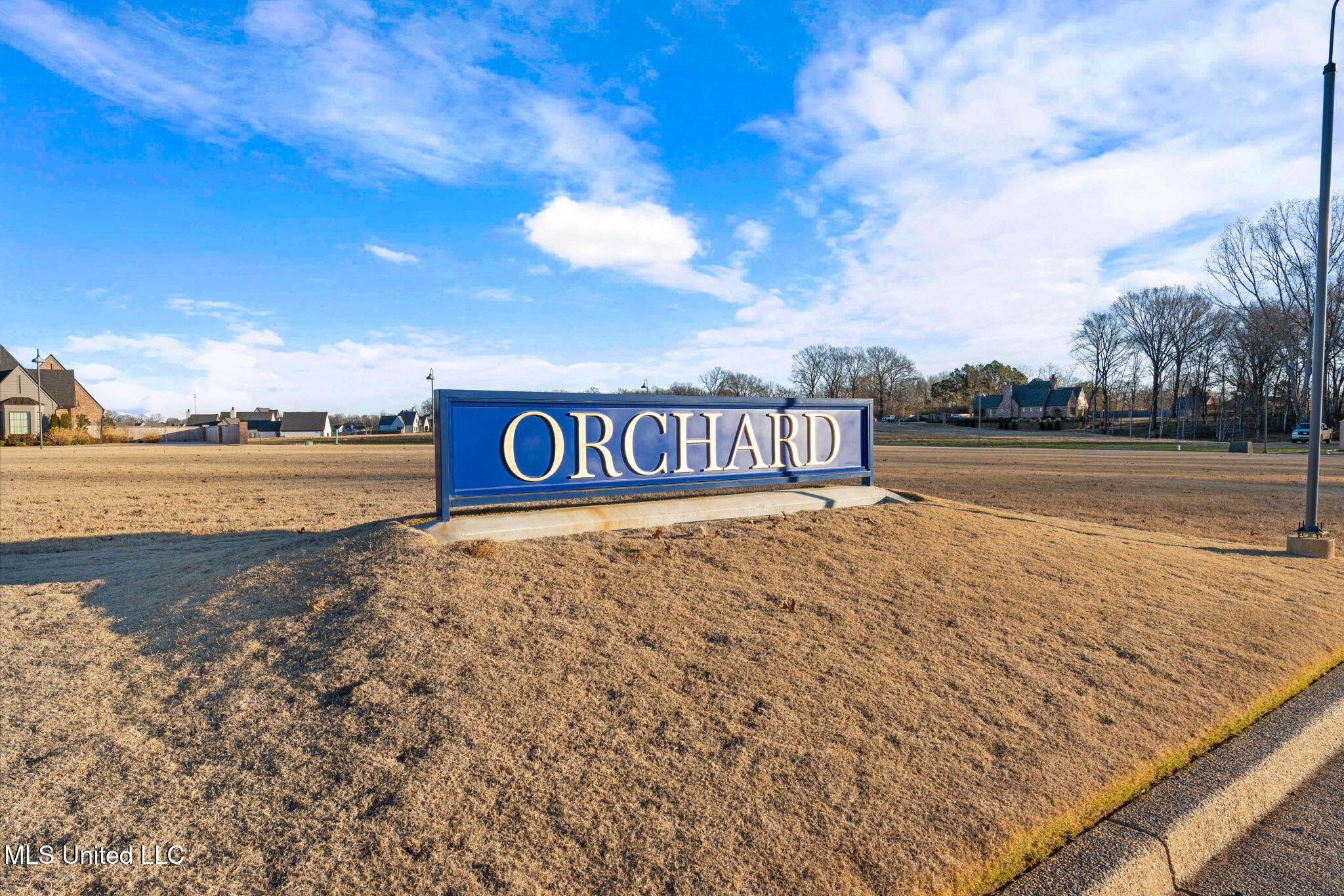 870 Red Cedar Loop Hernando, MS 38632 - Photo 1 of 10 The Orchard