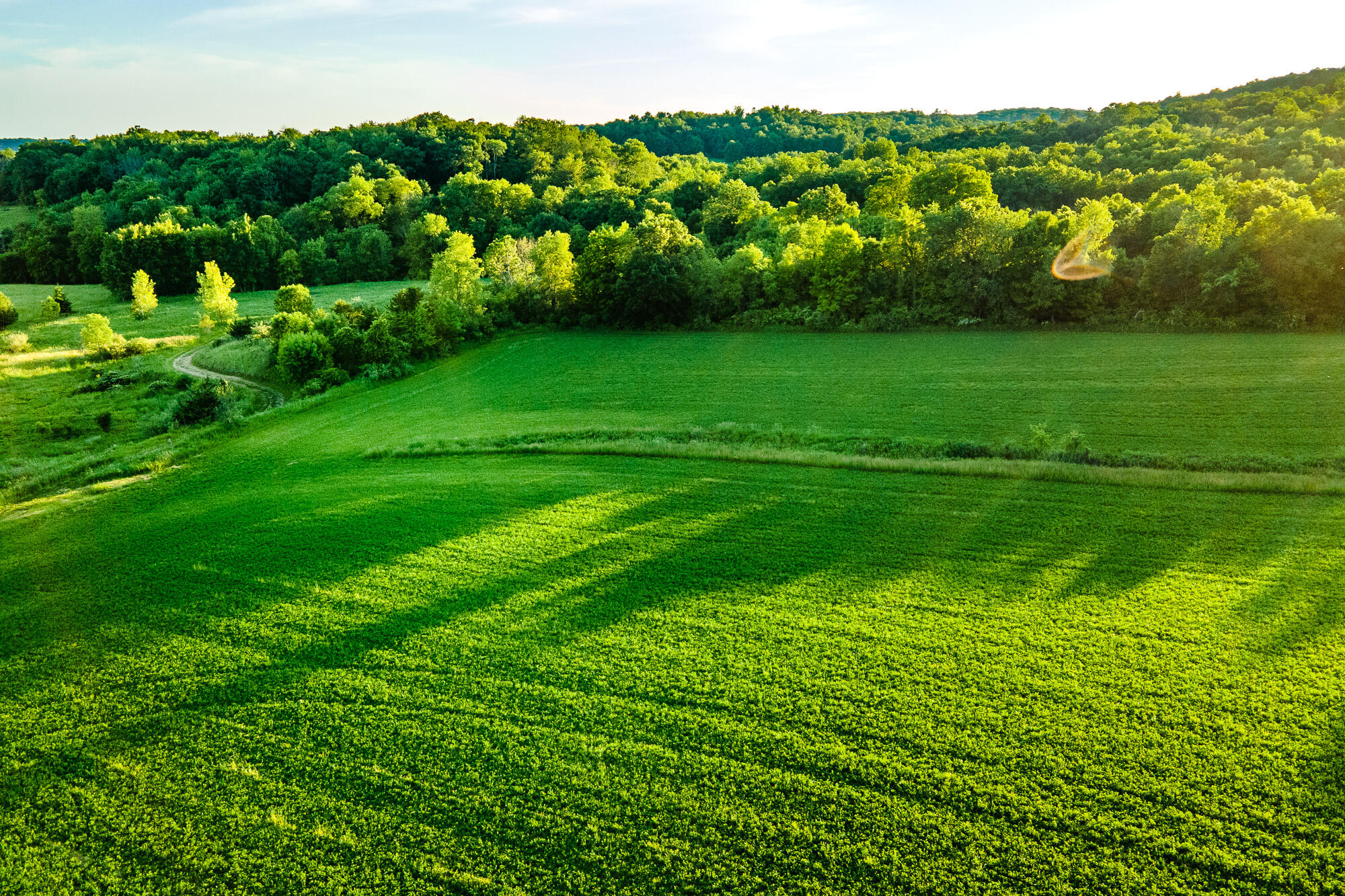 Lt0 Denzer Road North Freedom, WI 53951 - Photo 31 of 68 Sauk-County-WI-54-Acres-Land-For-Sale-31