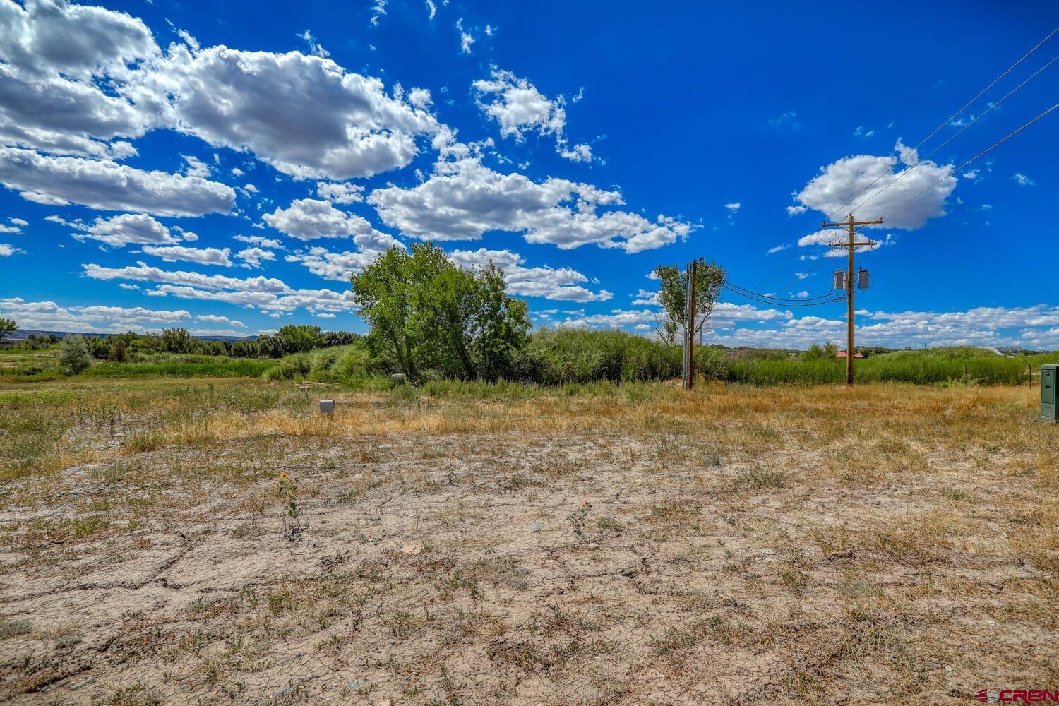 13806 State Highway Ignacio, CO 81137 - Photo 11 of 45 a view of a yard in a yard