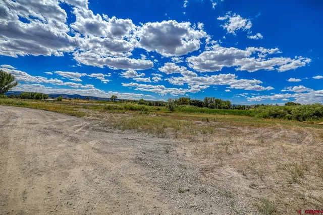a view of an outdoor space and a yard