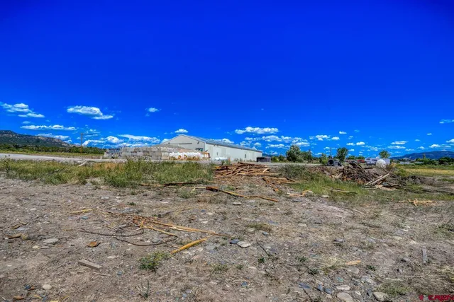 a view of a town with mountains in the background
