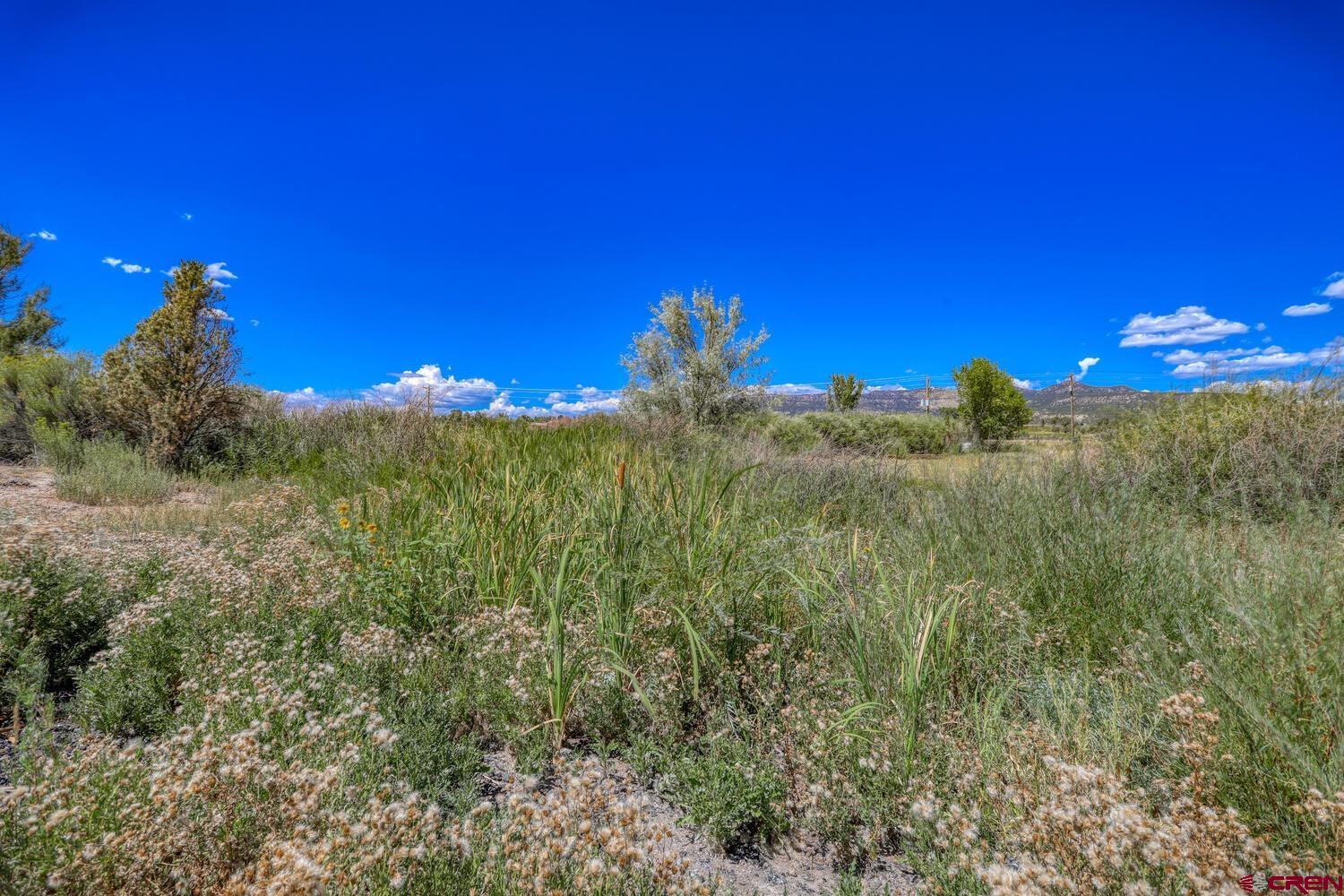 13806 State Highway Ignacio, CO 81137 - Photo 20 of 45 a view of a building in a field