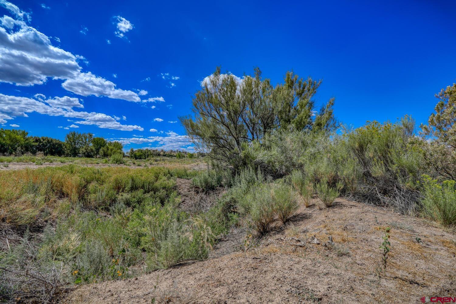 13806 State Highway Ignacio, CO 81137 - Photo 21 of 45 a view of a yard with a tree