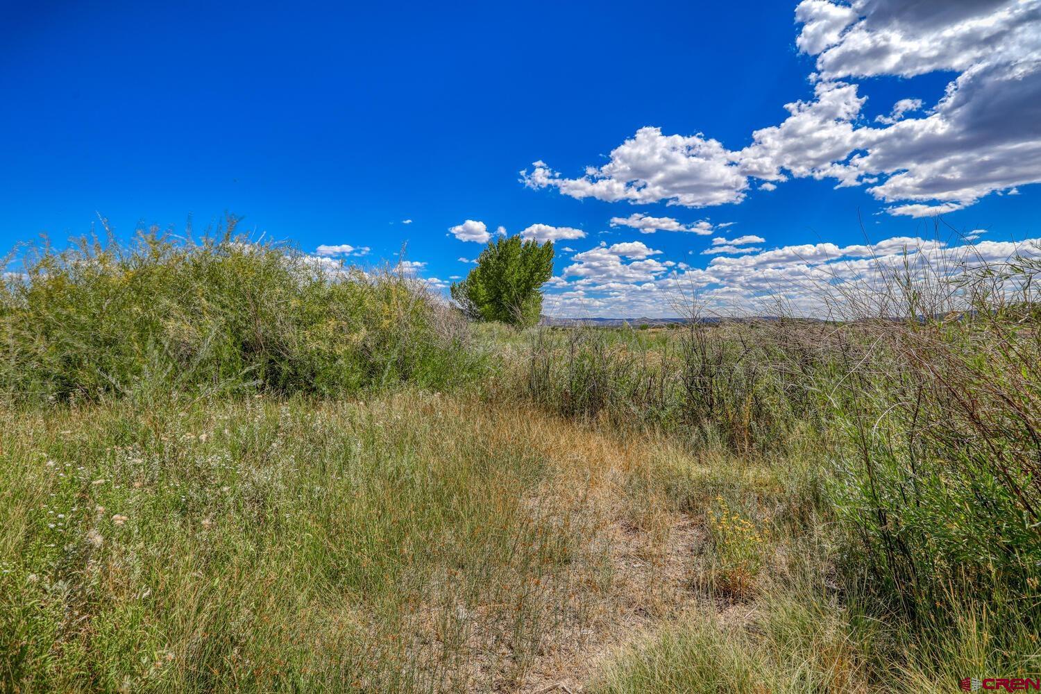 13806 State Highway Ignacio, CO 81137 - Photo 22 of 45