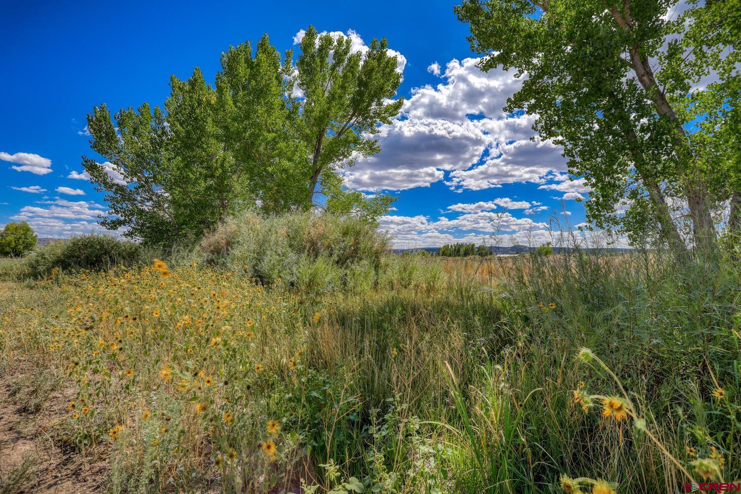 13806 State Highway Ignacio, CO 81137 - Photo 23 of 45 a view of a garden with a tree