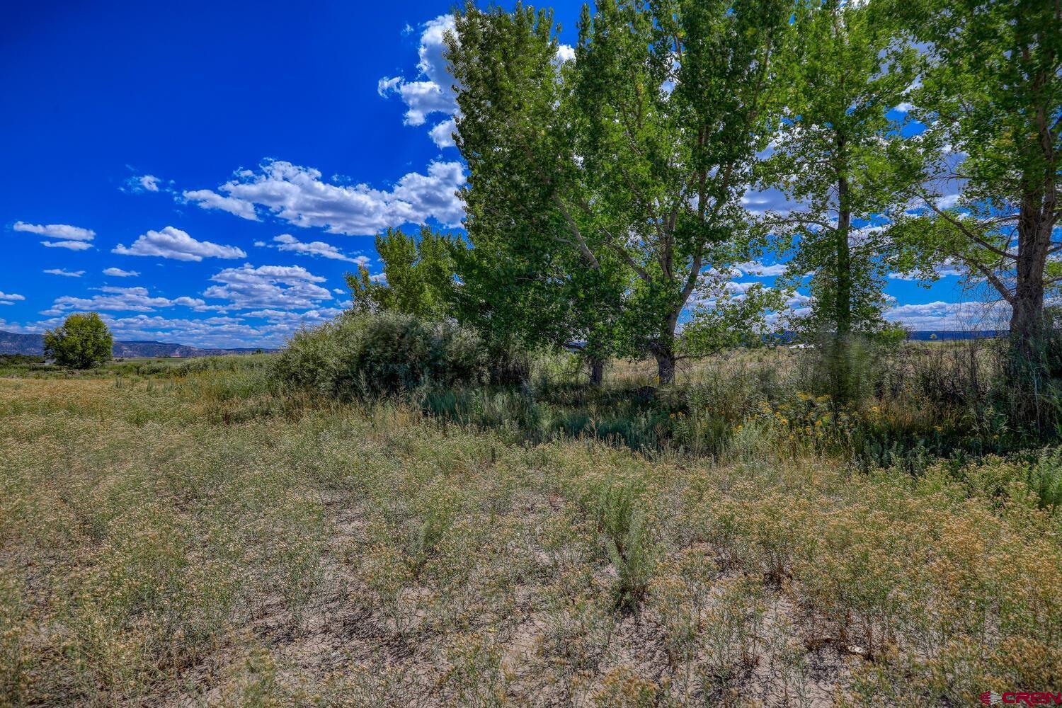 13806 State Highway Ignacio, CO 81137 - Photo 25 of 45 a view of a backyard of a house with lots of green space