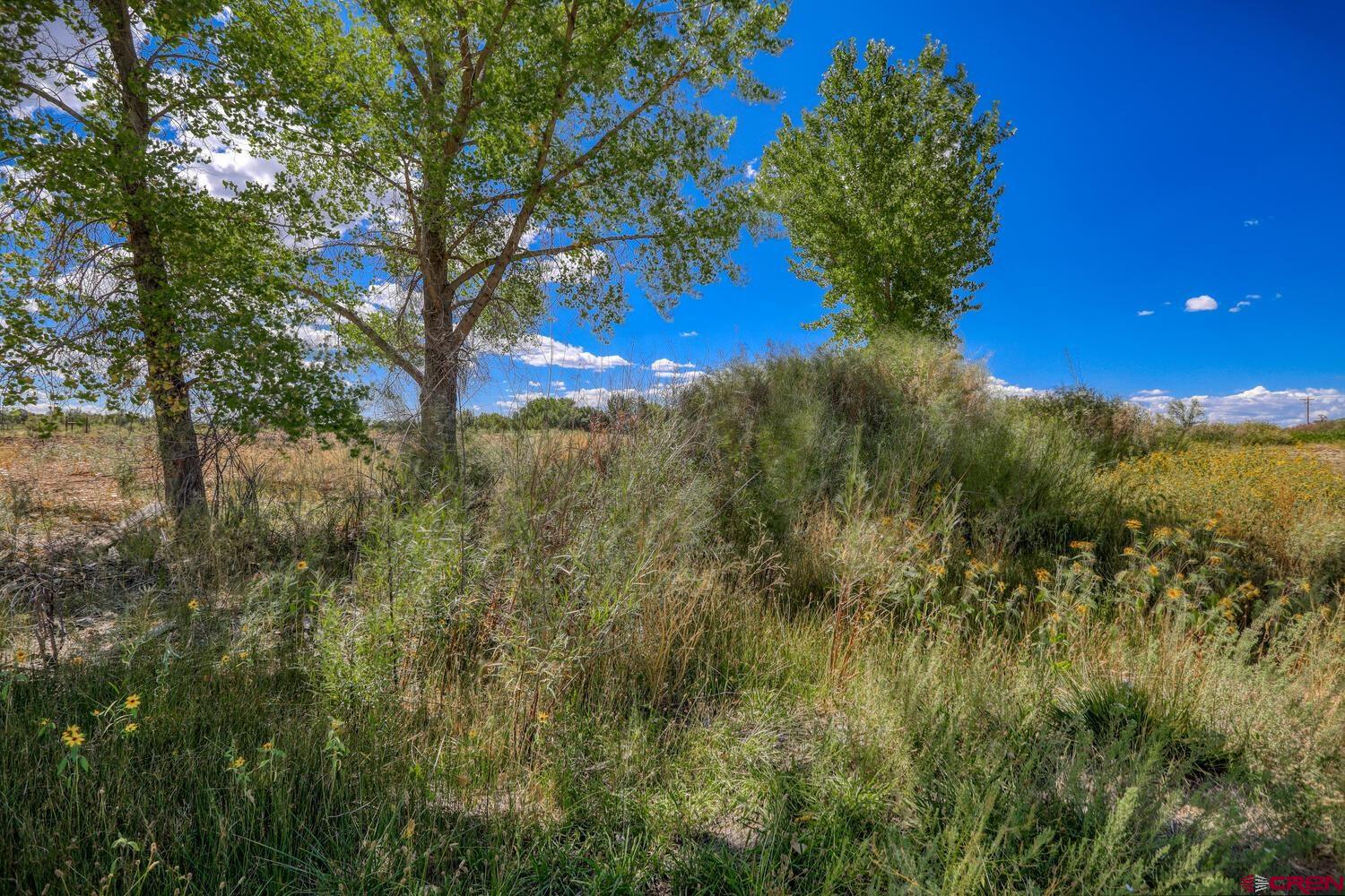 13806 State Highway Ignacio, CO 81137 - Photo 26 of 45 a view of a yard