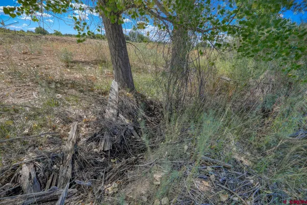 a view of swimming pool with an outdoor space and seating area