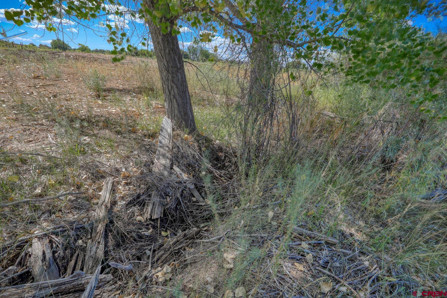 13806 State Highway Ignacio, CO 81137 - Photo 27 of 45 a view of a yard