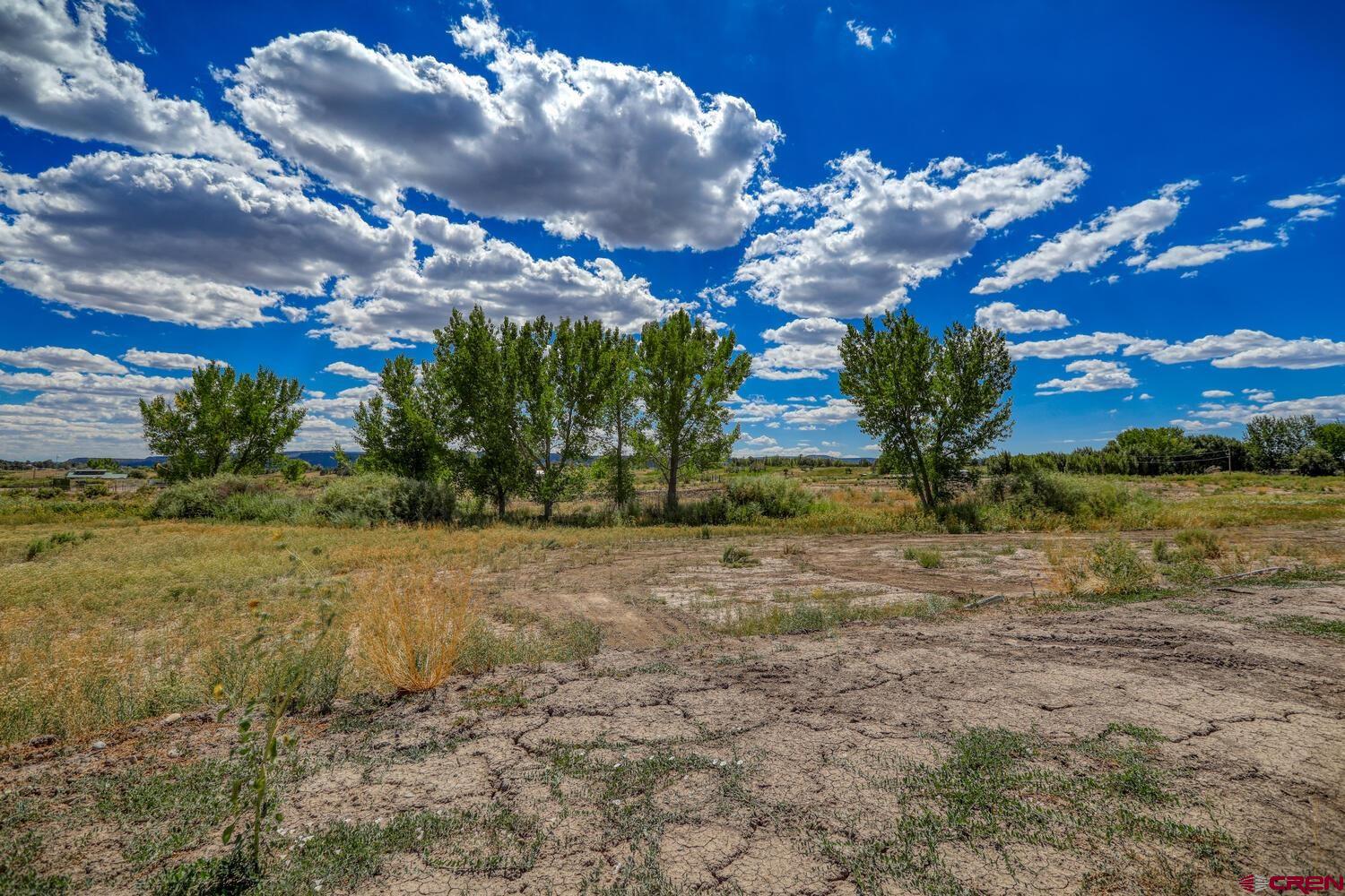 13806 State Highway Ignacio, CO 81137 - Photo 29 of 45 a view of a house with a yard