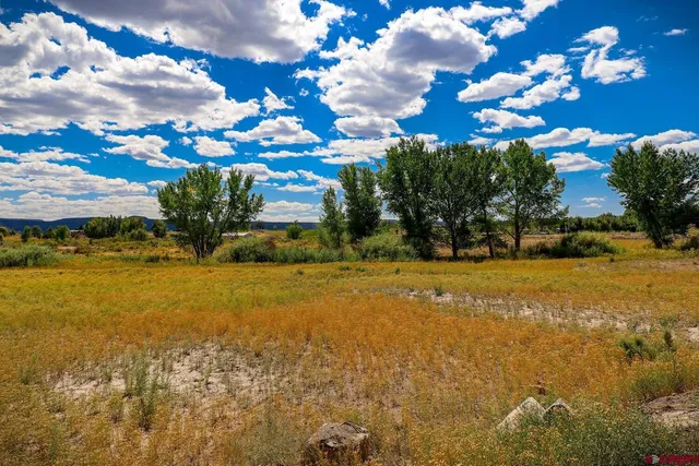 a view of a lake with a yard