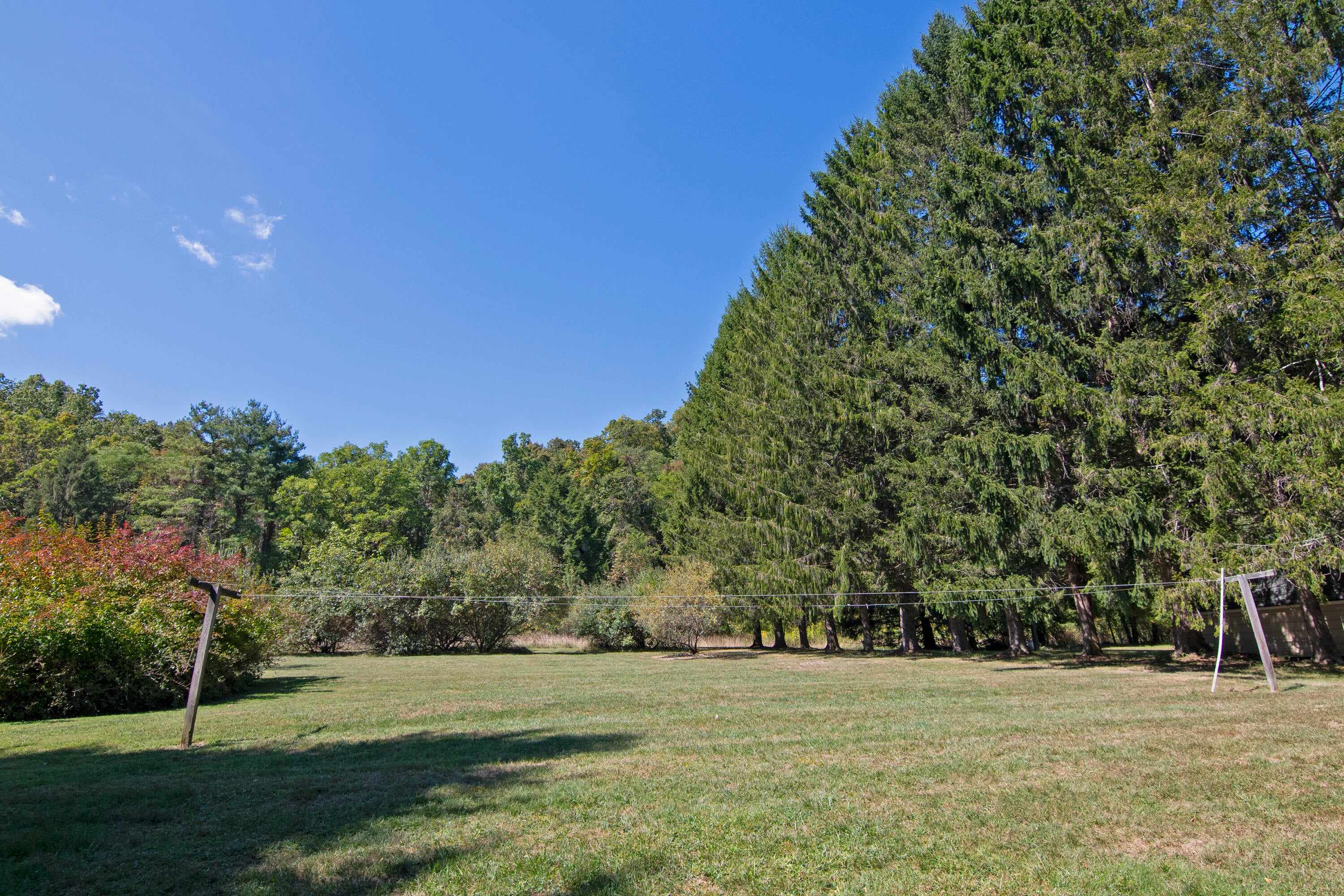 155 Dickson Road Caldwell, WV 24925 - Photo 7 of 78 Gallery Image 7