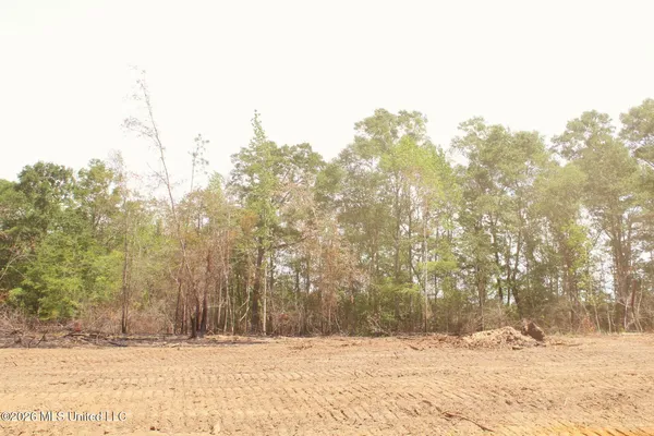 $54,900 | 3.78-ac Cottonwood Drive, Lucedale, MS 39452