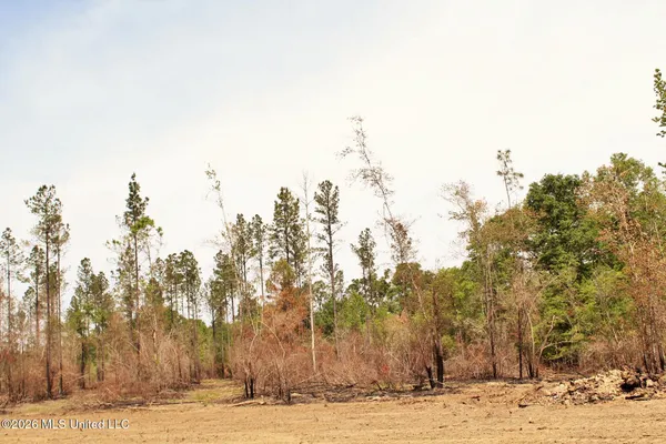 $54,900 | 3.78-ac Cottonwood Drive, Lucedale, MS 39452