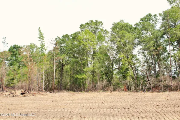 $54,900 | 3.78-ac Cottonwood Drive, Lucedale, MS 39452