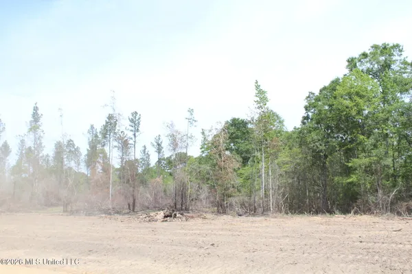 $54,900 | 3.78-ac Cottonwood Drive, Lucedale, MS 39452