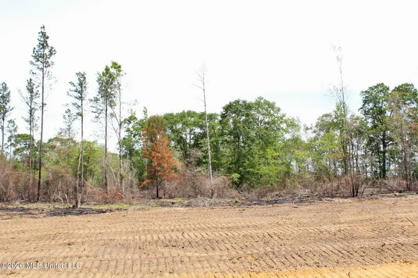 $54,900 | 3.78-ac Cottonwood Drive, Lucedale, MS 39452