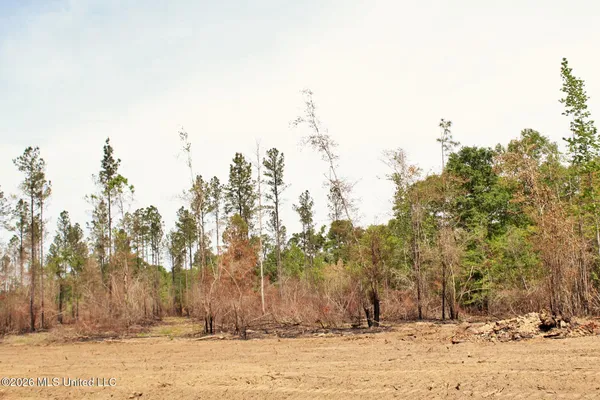 $54,900 | 3.78-ac Cottonwood Drive, Lucedale, MS 39452