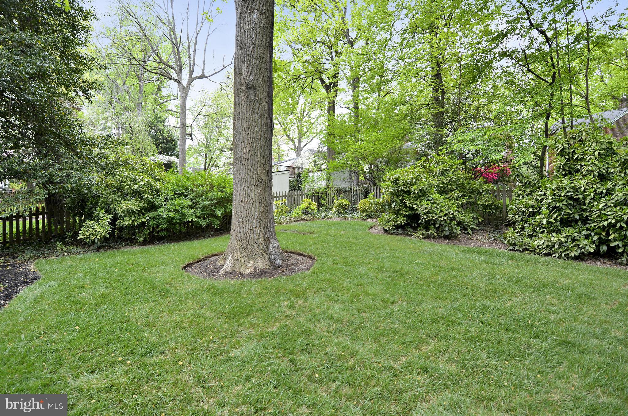 5910 Harwick Road Bethesda, MD 20816 - Photo 3 of 30 Exterior (Rear)