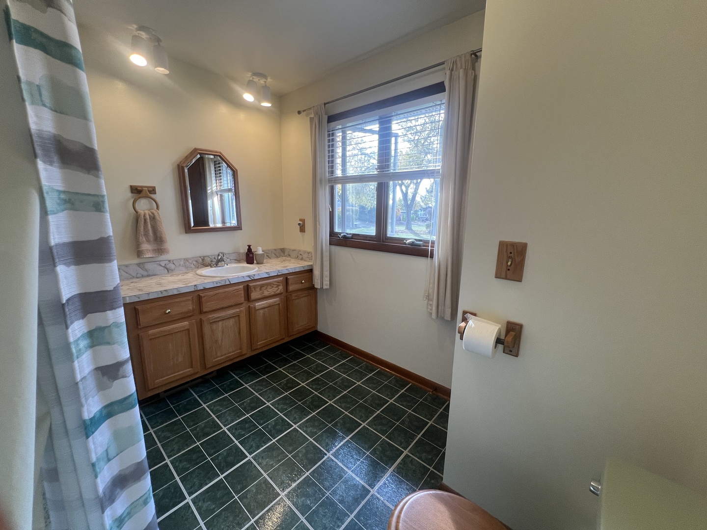 1380 South Regan Road New Lenox, IL 60451 - Photo 21 of 39 a bathroom with a sink toilet and mirror
