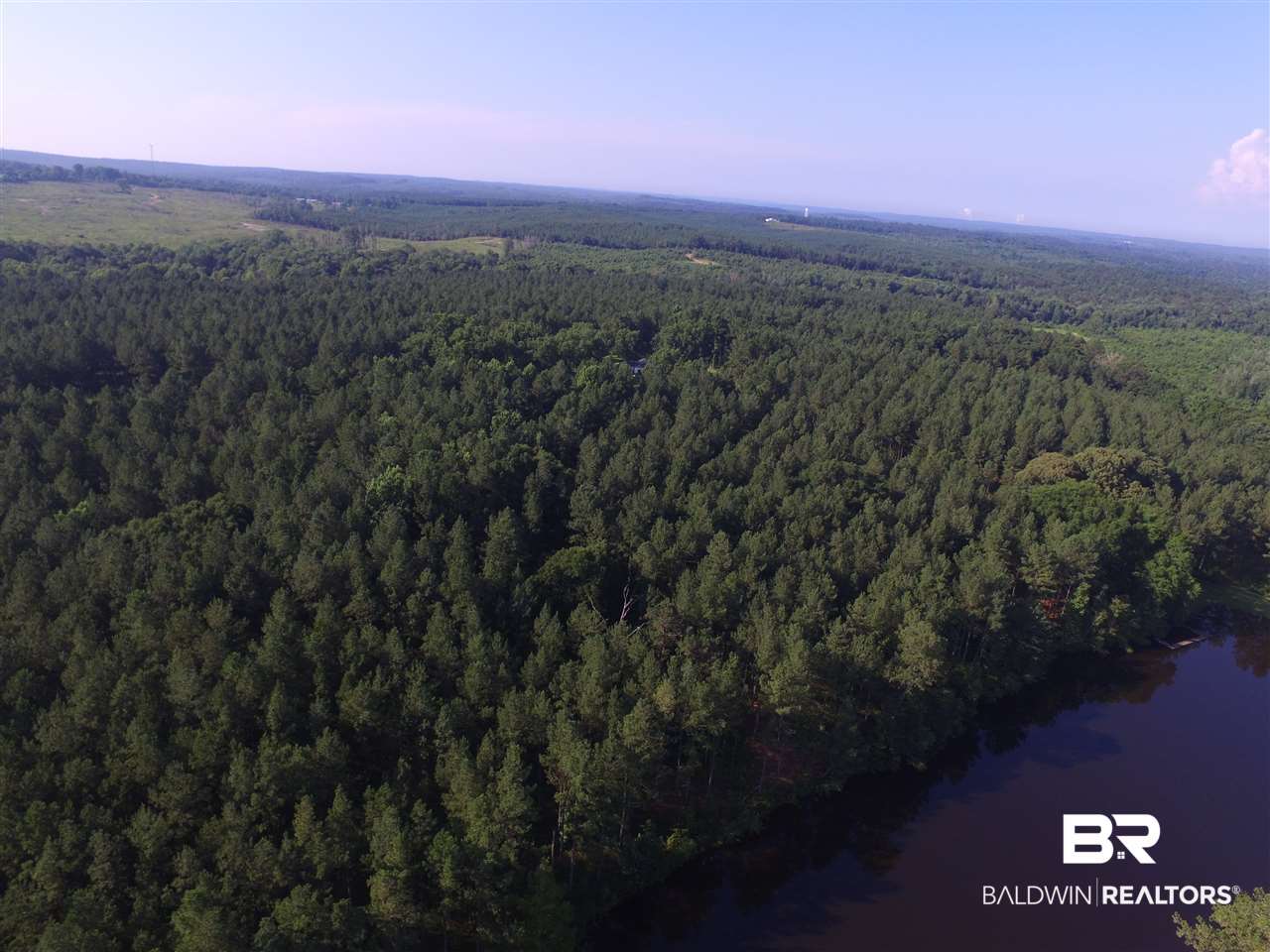 744 Fox Trot Road Grove Hill, AL 36451 - Photo 10 of 46